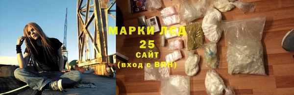 стаф Апатиты