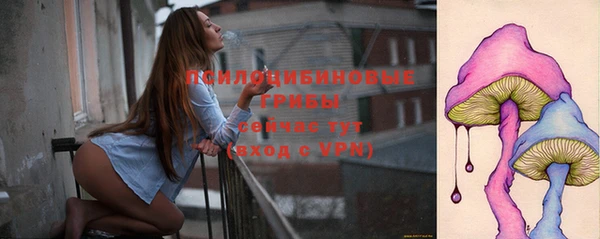 стаф Апатиты