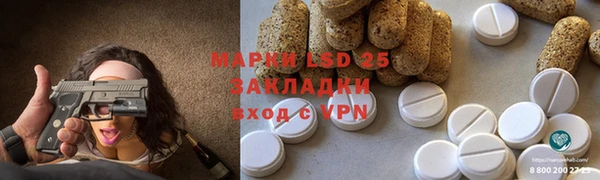 стаф Апатиты