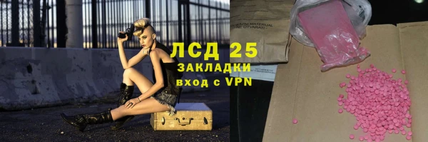 стаф Апатиты