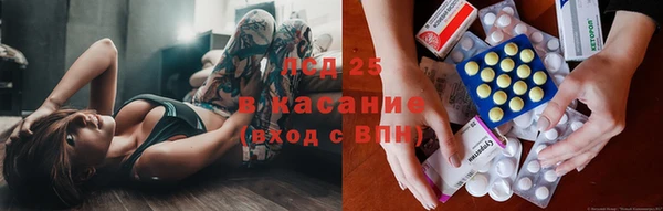 стаф Апатиты