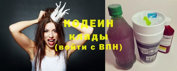 стаф Апатиты