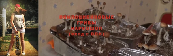 ешки Анжеро-Судженск
