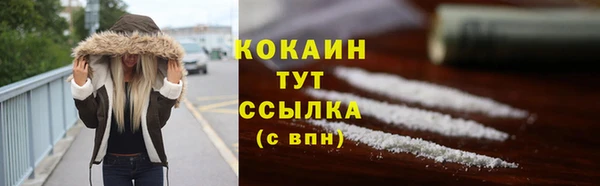 стаф Апатиты