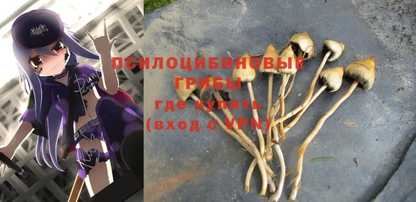 ешки Анжеро-Судженск