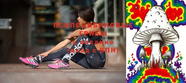 стаф Апатиты