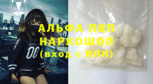стаф Апатиты