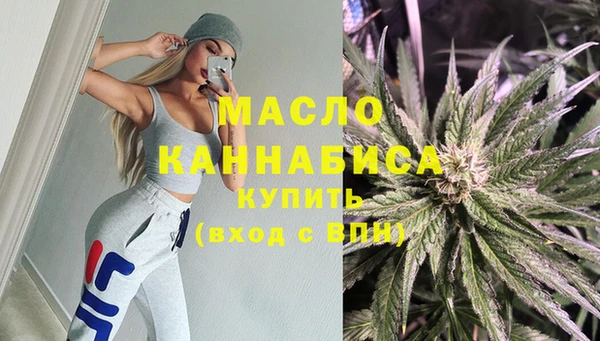 стаф Апатиты